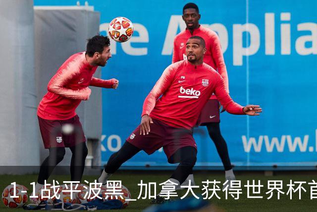 1-1战平波黑 加拿大获得世界杯首个积分